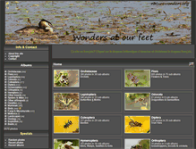 Tablet Screenshot of naturewonders.org